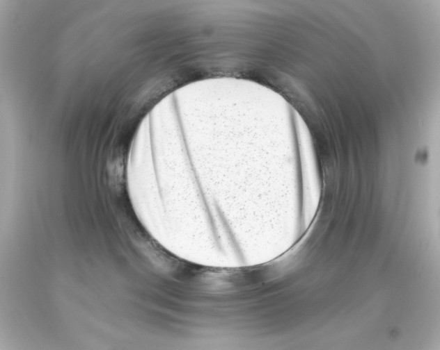 X0000093120190200710241310