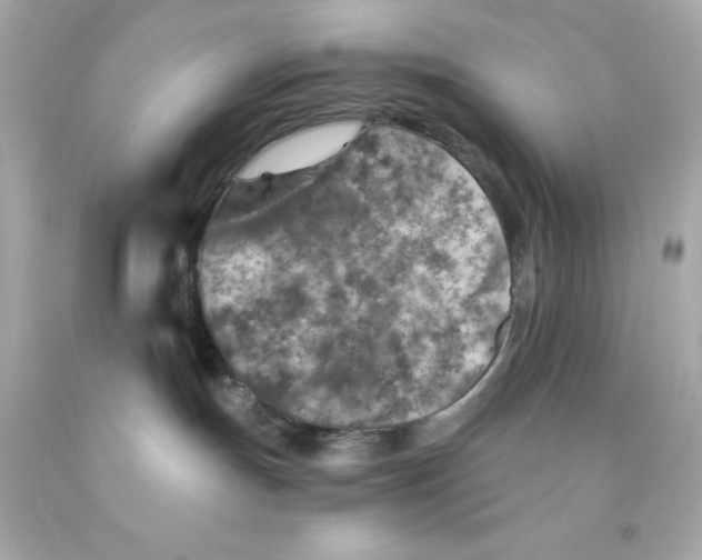 X0000093120191200710241310
