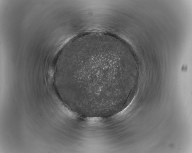 X0000093120192200710241310