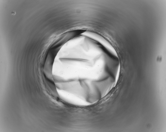 X0000093120193200710241310