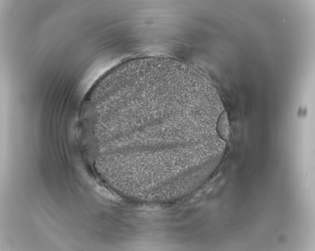 X0000093120194200710241310
