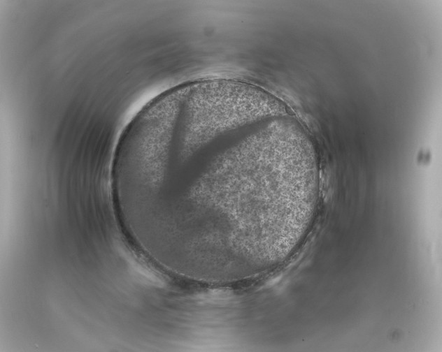 X0000093120196200710241310