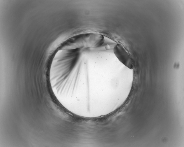 X0000093120197200710241309