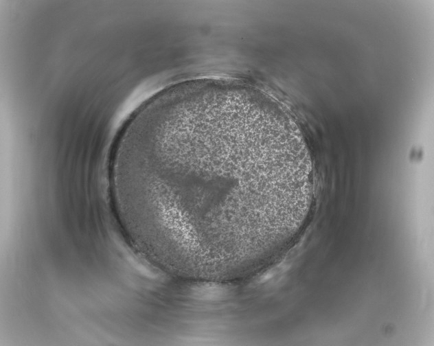 X0000093120198200710241309