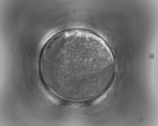 X0000093120199200710241309