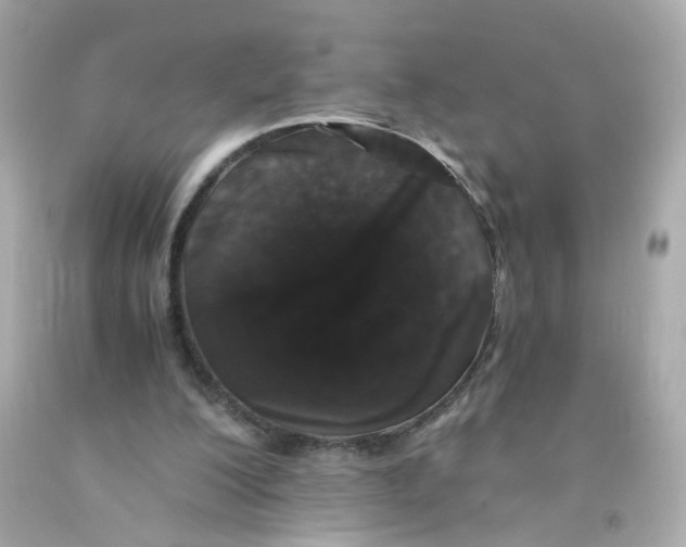 X0000093120200200710241309