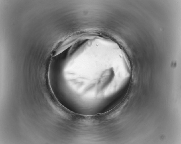 X0000093120201200710241309