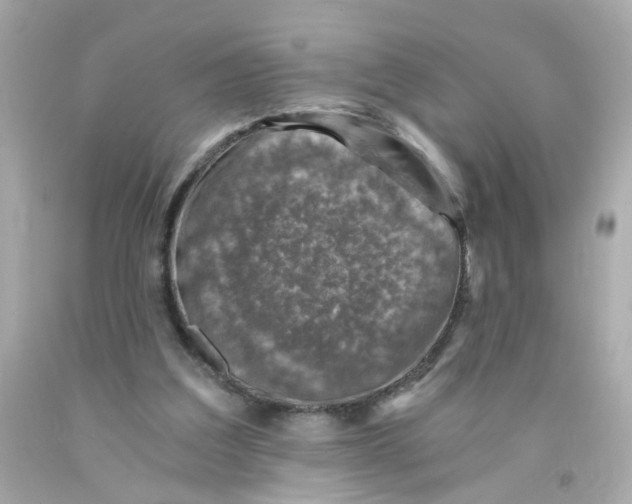 X0000093120203200710241309