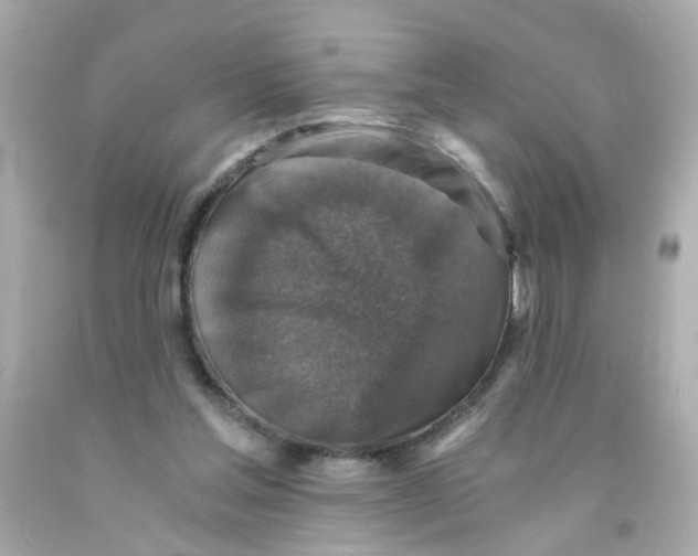 X0000093120205200710241309