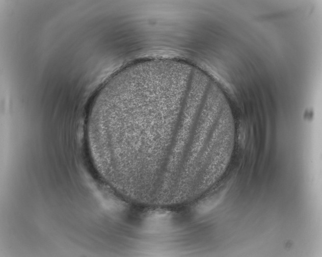 X0000093120206200710241309