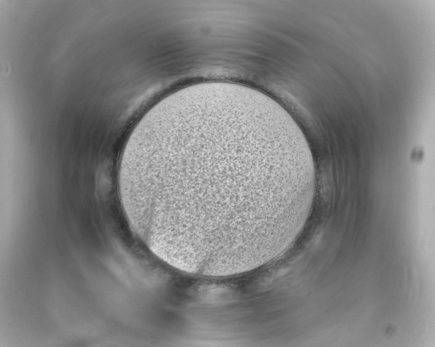 X0000093120208200710241309