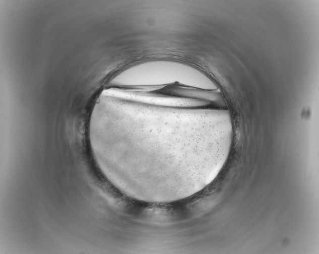 X0000093120211200710241309