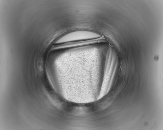 X0000093120212200710241309