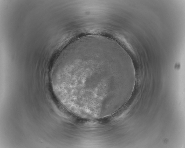 X0000093120213200710241309