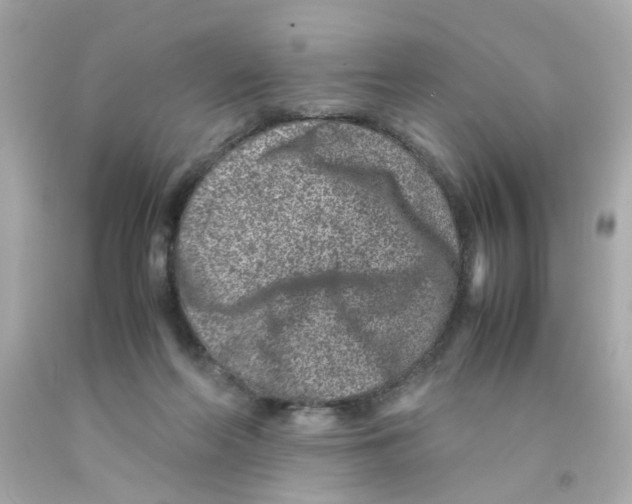 X0000093120214200710241309