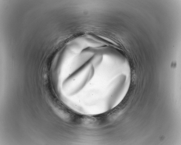 X0000093120215200710241309
