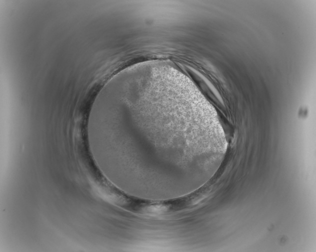 X0000093120217200710241309