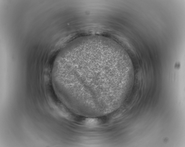 X0000093120218200710241309