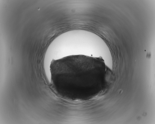 X0000093120219200710241309