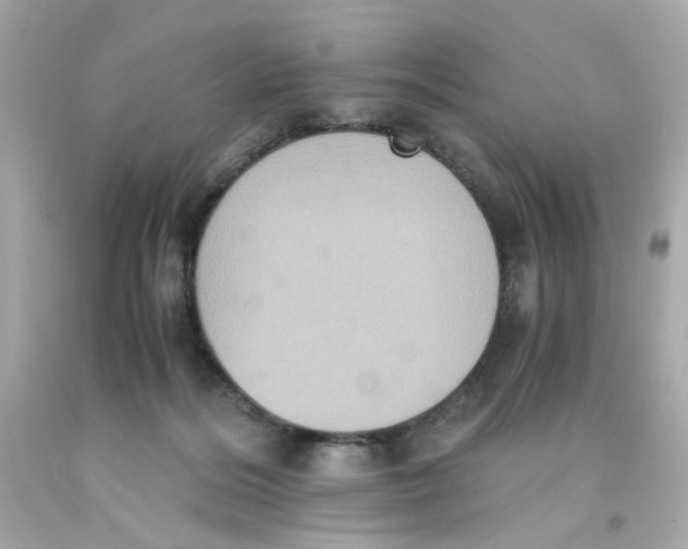 X0000093120220200710241309