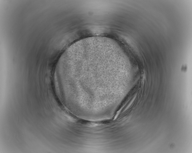 X0000093120221200710241309