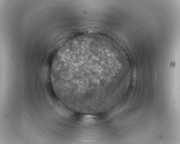 X0000093120222200710241309