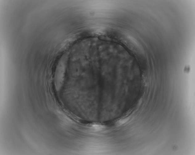 X0000093120223200710241309