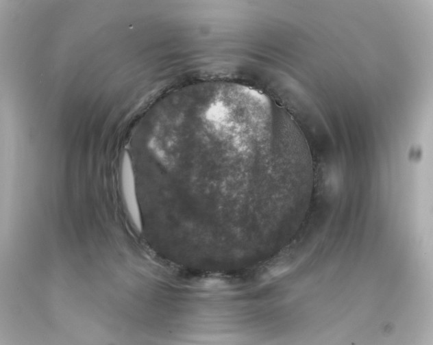 X0000093120224200710241309