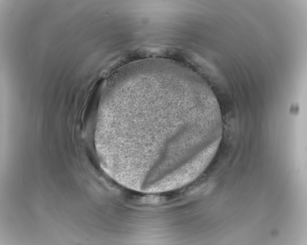 X0000093120225200710241309