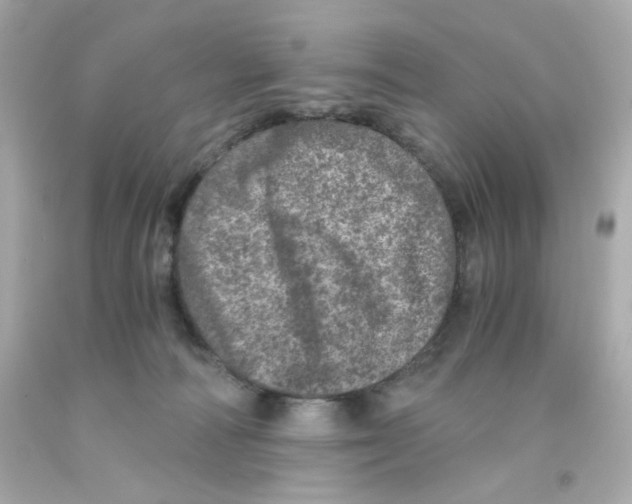 X0000093120226200710241309