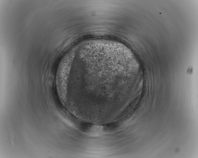 X0000093120227200710241309