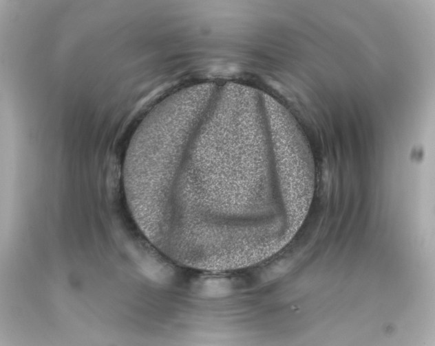 X0000093120228200710241309