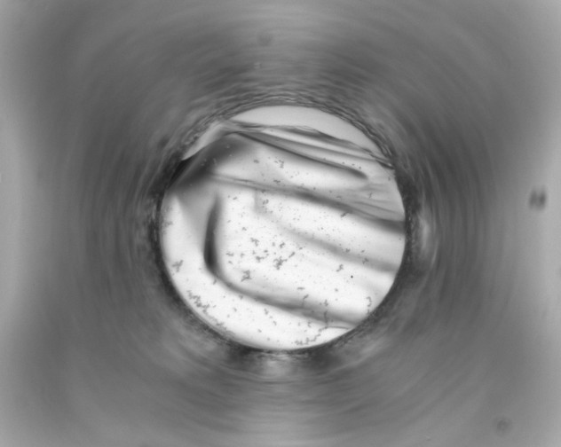 X0000093120229200710241309