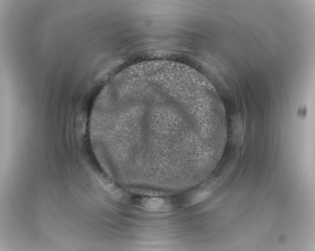 X0000093120230200710241309