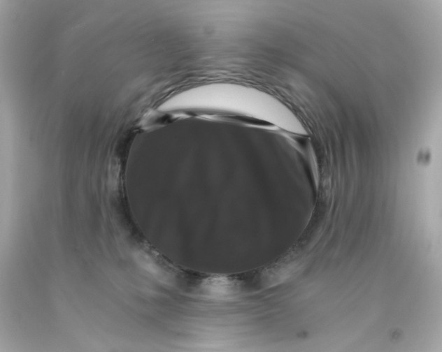 X0000093120231200710241309