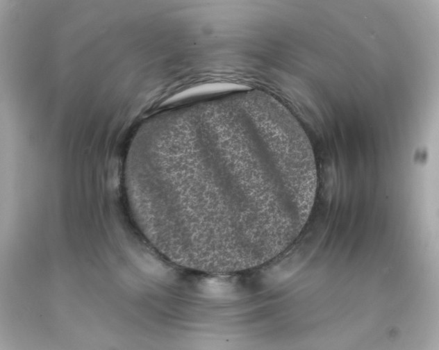 X0000093120232200710241309