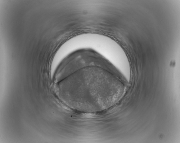 X0000093120233200710241309