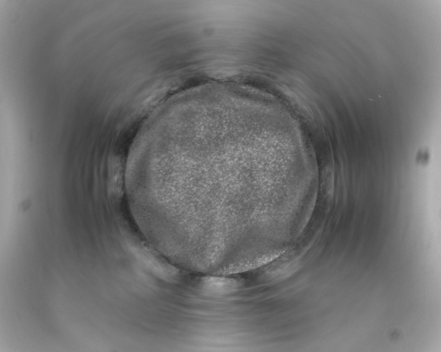 X0000093120234200710241309