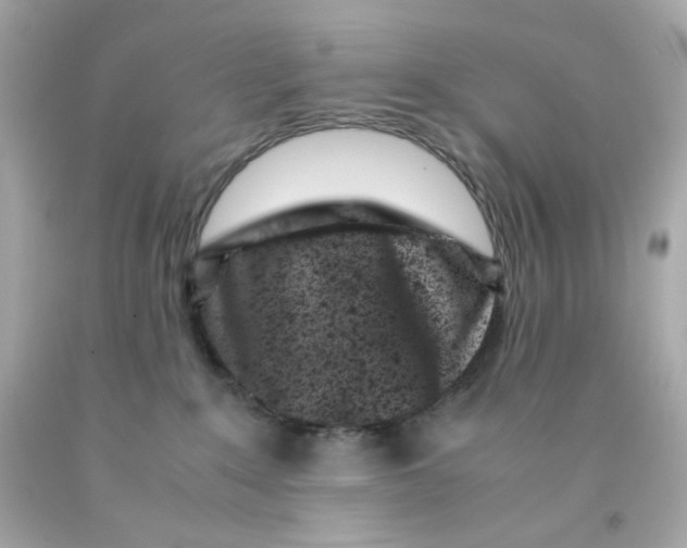 X0000093120235200710241309