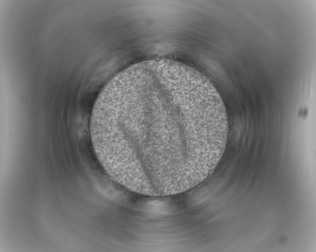 X0000093120236200710241309