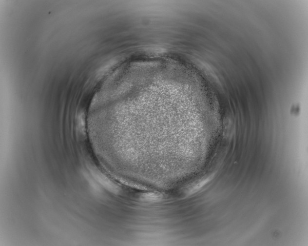 X0000093120238200710241309