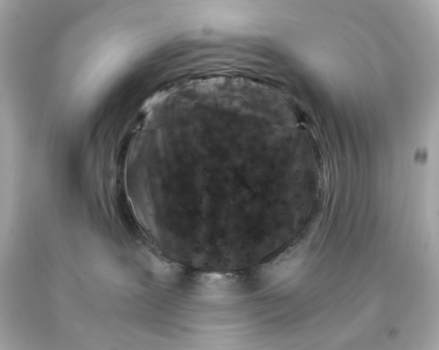 X0000093120239200710241309