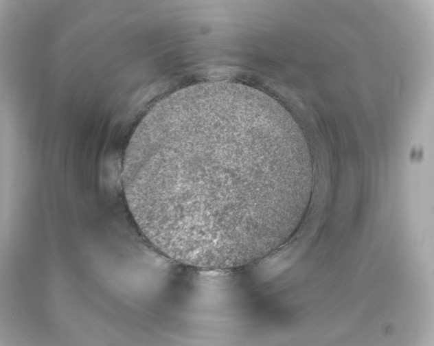 X0000093120240200710241309