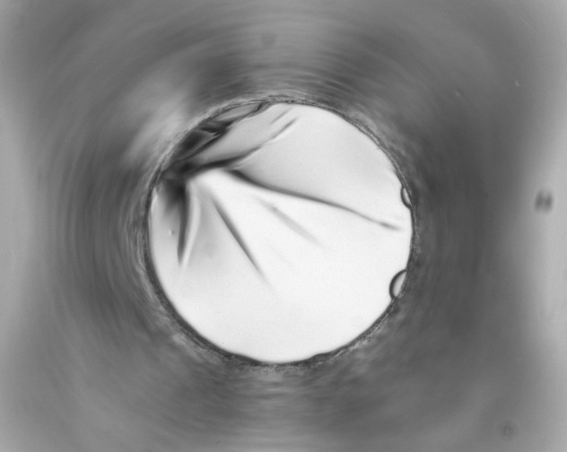 X0000093120241200710241308
