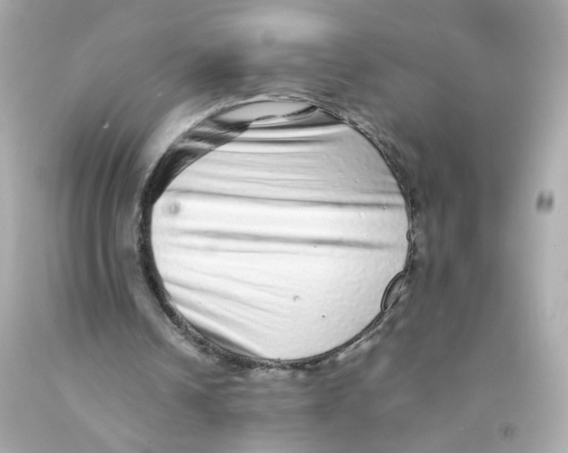 X0000093120242200710241308