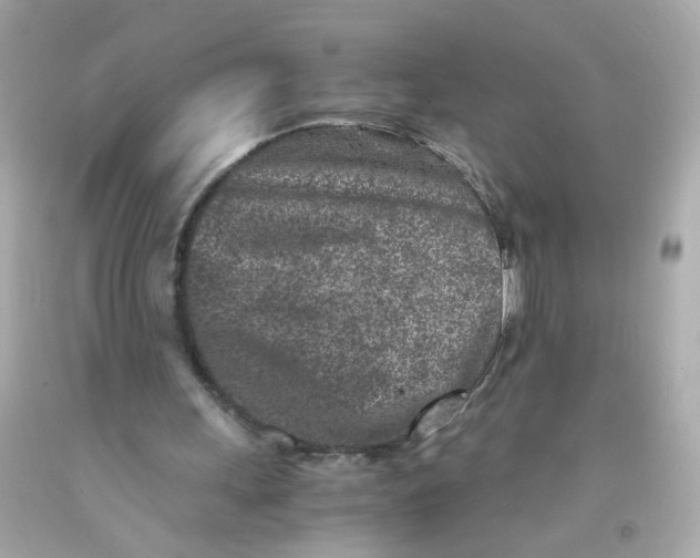 X0000093120243200710241308