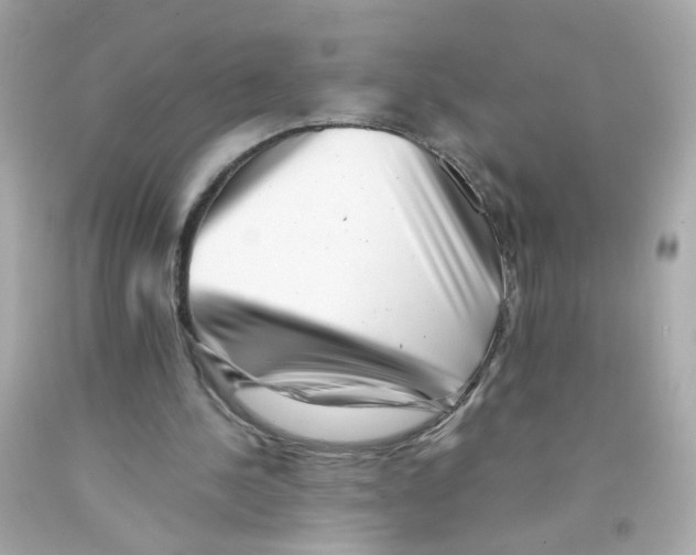X0000093120244200710241308