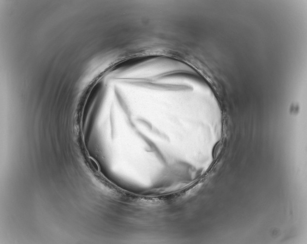X0000093120245200710241308