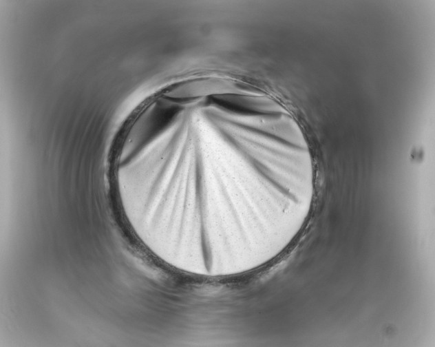 X0000093120246200710241308