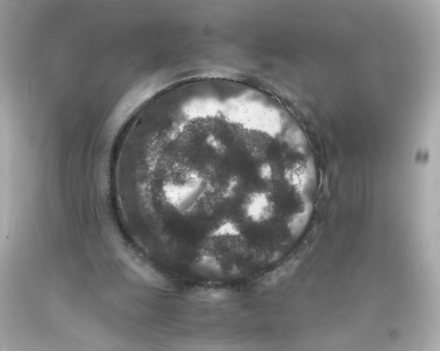 X0000093120247200710241308